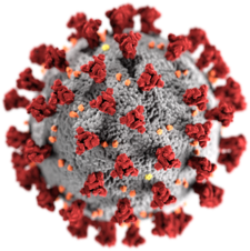 Očkování proti onemocnění COVID-19